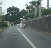 Auf der Fahrt zum Hotel sehen wir Touristen, die mit dem Korbschlitten von Monte nach Funchal unterwegs sind