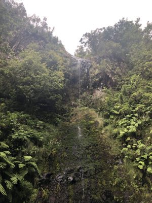 Der Wasserfall am Caldeirao Verde