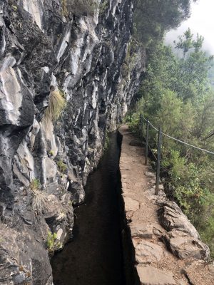 DerWeg ist sehr schmal entlang der Levada am Steilhang