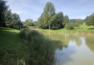 Teich bei der Fischerhütte in Gosheim