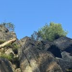 Kollege im Vorstieg im mittleren Teil der Rammsteinblick Route