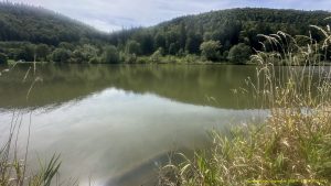 Der Stausee kurz vor Möhringen