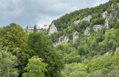Blick auf die Burg Wildenstein im Donautal