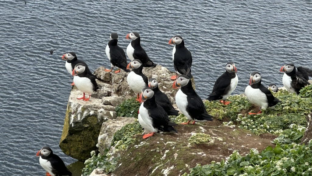 02. Juli 2026 Island Urlaub 2026 – fünfter Tag